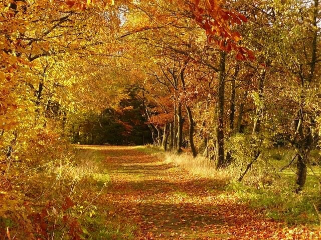 sportarten herbst sportarten herbst