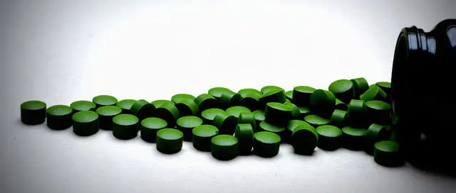 Chlorella