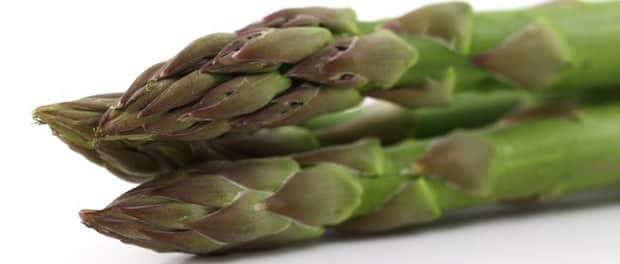 Spargel