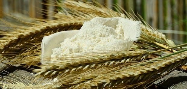 weizen, gluten