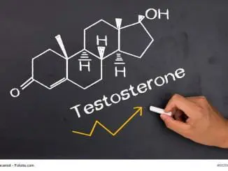 Testosteronspiegel erhöhen
