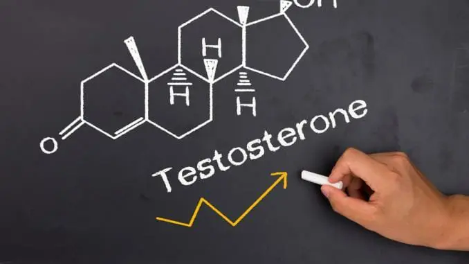 Testosteronspiegel erhöhen