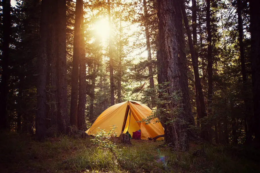 Camping