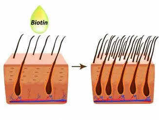 Biotin bei Haarausfall Biotin bei Haarverlust