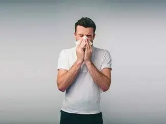 Haselnusspollen Allergie