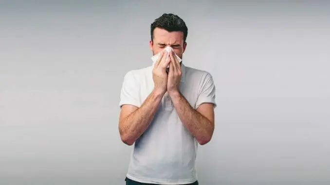 Haselnusspollen Allergie