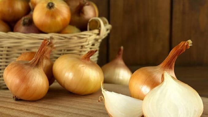 Zwiebel gegen Haarausfall Zwiebel gegen Haarausfall