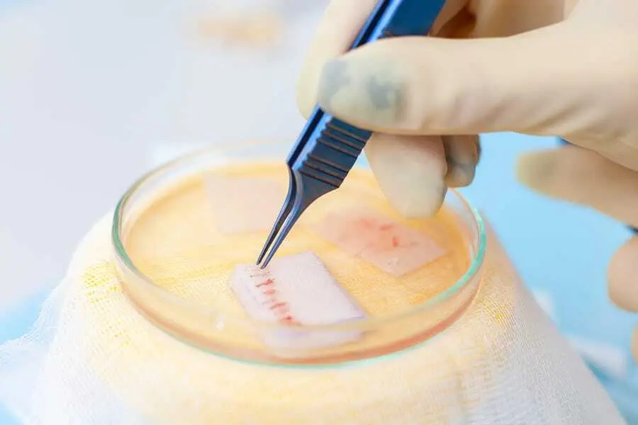 Grafts Nährstofflösung