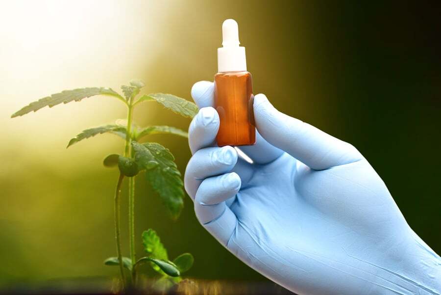 CBD Studien