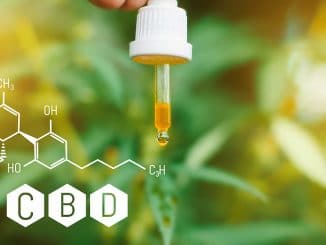 CBD-Öl bei chronischer Gastritis