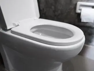 Toilette verstopft