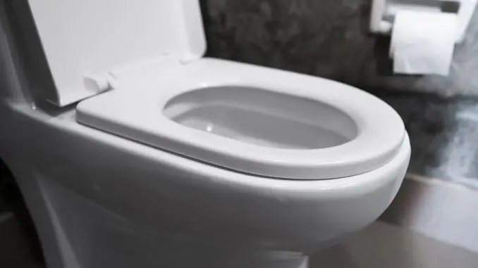 Toilette verstopft