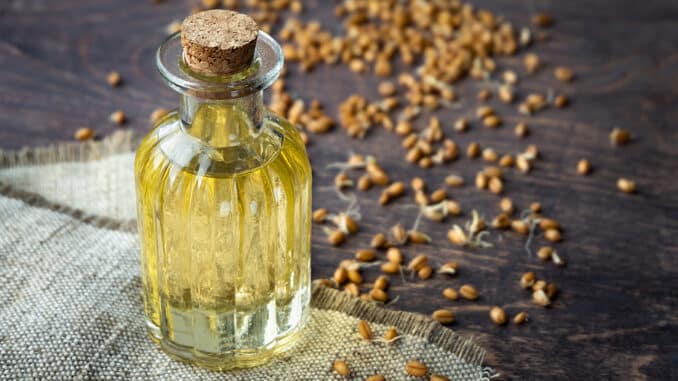 Weizenkeimöl gegen brüchiges Haar Weizenkeimöl gegen brüchiges Haar