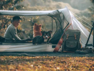 Campingziele Mensch und Hund
