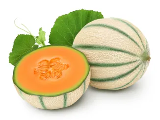 Gesundheitliche Vorteile von Zuckermelonen