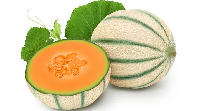 Gesundheitliche Vorteile von Zuckermelonen