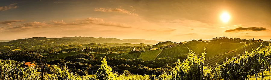 Südsteiermark für Hochzeiten