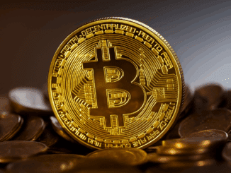 Trump Nur im Weißen Haus wegen Bitcoin