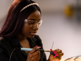 Evolution von Sextoys